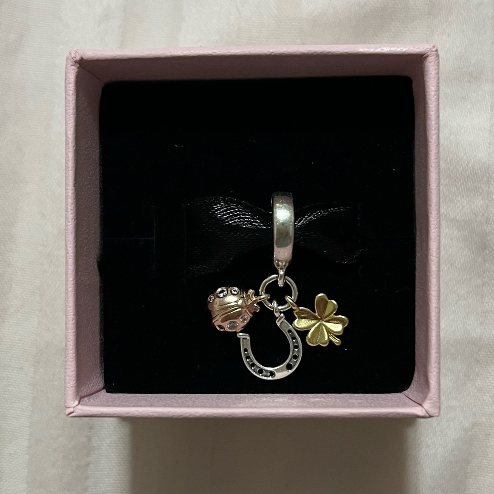 Pandora charm for Pandora moments bracelets